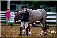 4H-District-16-0025.jpg