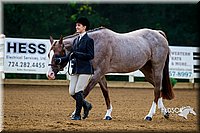 4H-District-16-0028.jpg