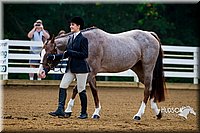 4H-District-16-0029.jpg