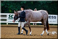 4H-District-16-0030.jpg