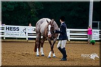 4H-District-16-0031.jpg