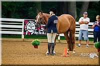 4H-District-16-0045.jpg