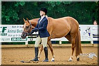 4H-District-16-0052.jpg