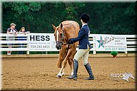 4H-District-16-0055.jpg