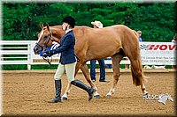 4H-District-16-0056.jpg