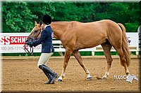 4H-District-16-0057.jpg