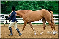 4H-District-16-0058.jpg