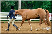 4H-District-16-0059.jpg