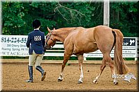 4H-District-16-0060.jpg