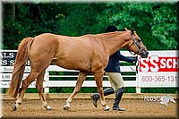 4H-District-16-0061.jpg