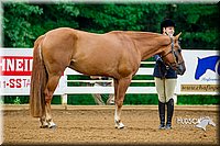 4H-District-16-0063.jpg