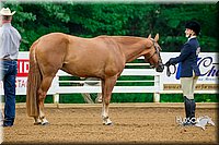 4H-District-16-0064.jpg