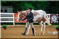 4H-District-16-0070.jpg