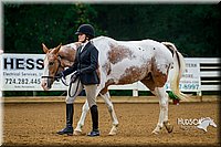 4H-District-16-0073.jpg