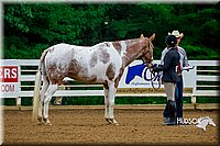 4H-District-16-0088.jpg