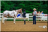 4H-District-16-0091.jpg