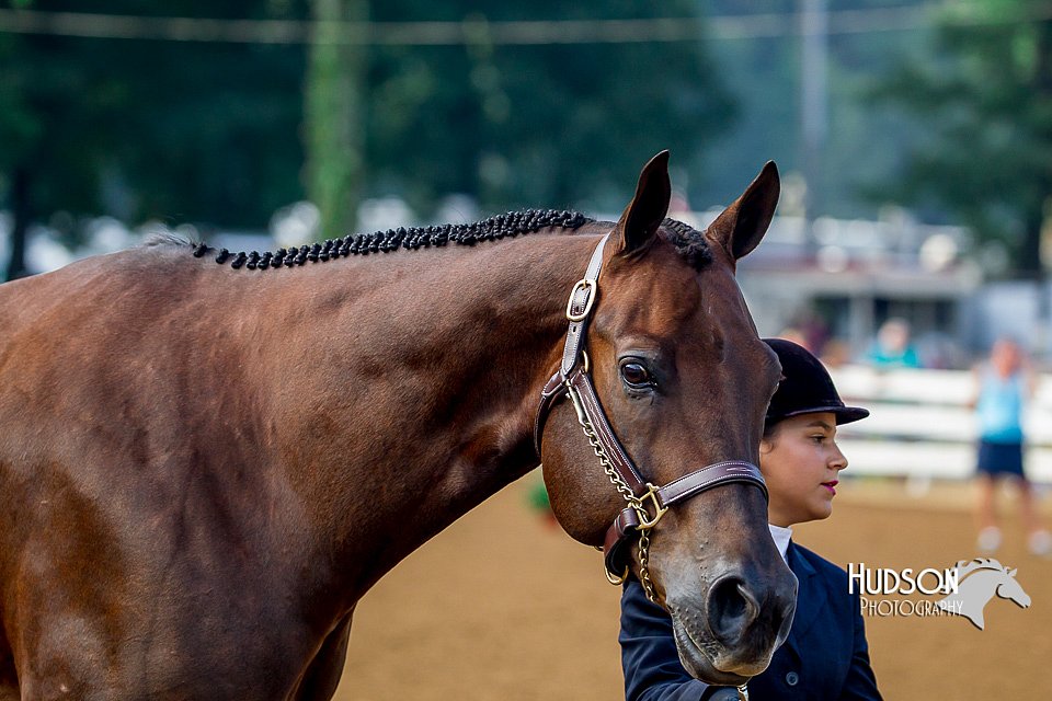 4H-District-16-0121.jpg