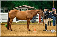 4H-District-16-0098.jpg