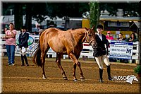 4H-District-16-0099.jpg