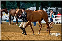 4H-District-16-0101.jpg