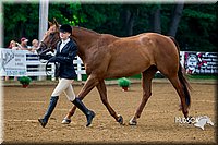 4H-District-16-0103.jpg