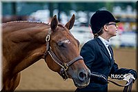 4H-District-16-0107.jpg