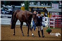 4H-District-16-0108.jpg