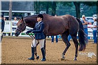 4H-District-16-0111.jpg