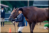 4H-District-16-0112.jpg