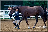 4H-District-16-0114.jpg