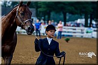 4H-District-16-0120.jpg