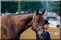 4H-District-16-0121.jpg