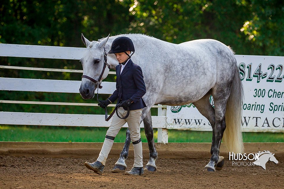 4H-District-16-0138.jpg