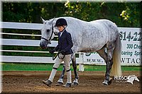 4H-District-16-0138.jpg