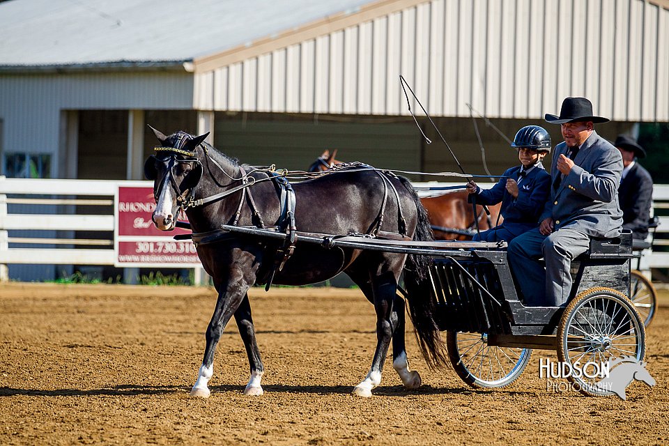 4H-District-16-0161.jpg