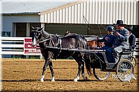 4H-District-16-0161.jpg