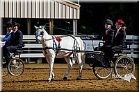 4H-District-16-0162.jpg