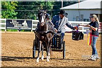 4H-District-16-0164.jpg