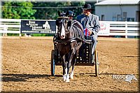 4H-District-16-0165.jpg