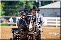 4H-District-16-0166.jpg