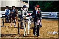 4H-District-16-0174.jpg