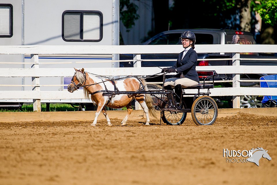 4H-District-16-0207.jpg