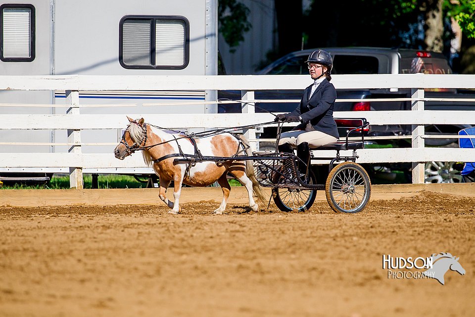 4H-District-16-0208.jpg