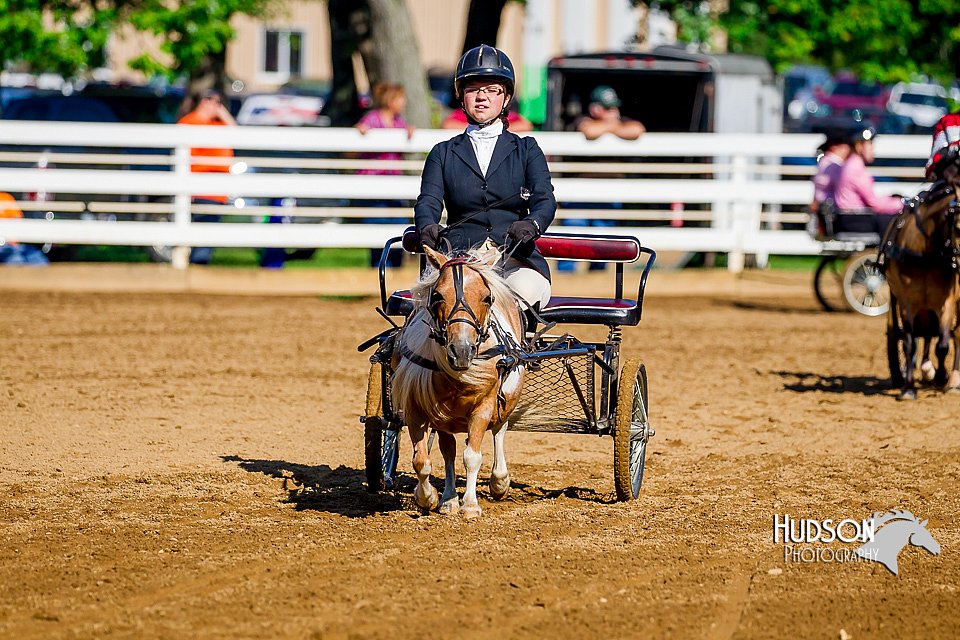4H-District-16-0218.jpg