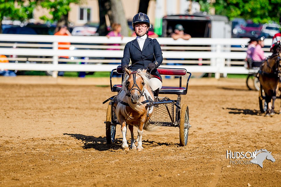 4H-District-16-0219.jpg