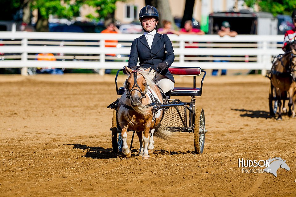 4H-District-16-0220.jpg
