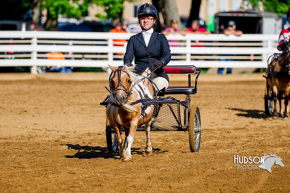 4H-District-16-0221.jpg