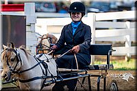 4H-District-16-0176.jpg