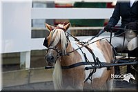 4H-District-16-0181.jpg