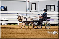 4H-District-16-0182.jpg